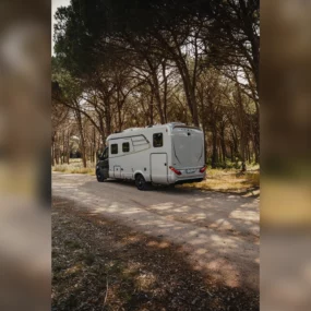 Hymer B-MC T 680 Motorhome - Exterior Rear Left Lifestyle Trees